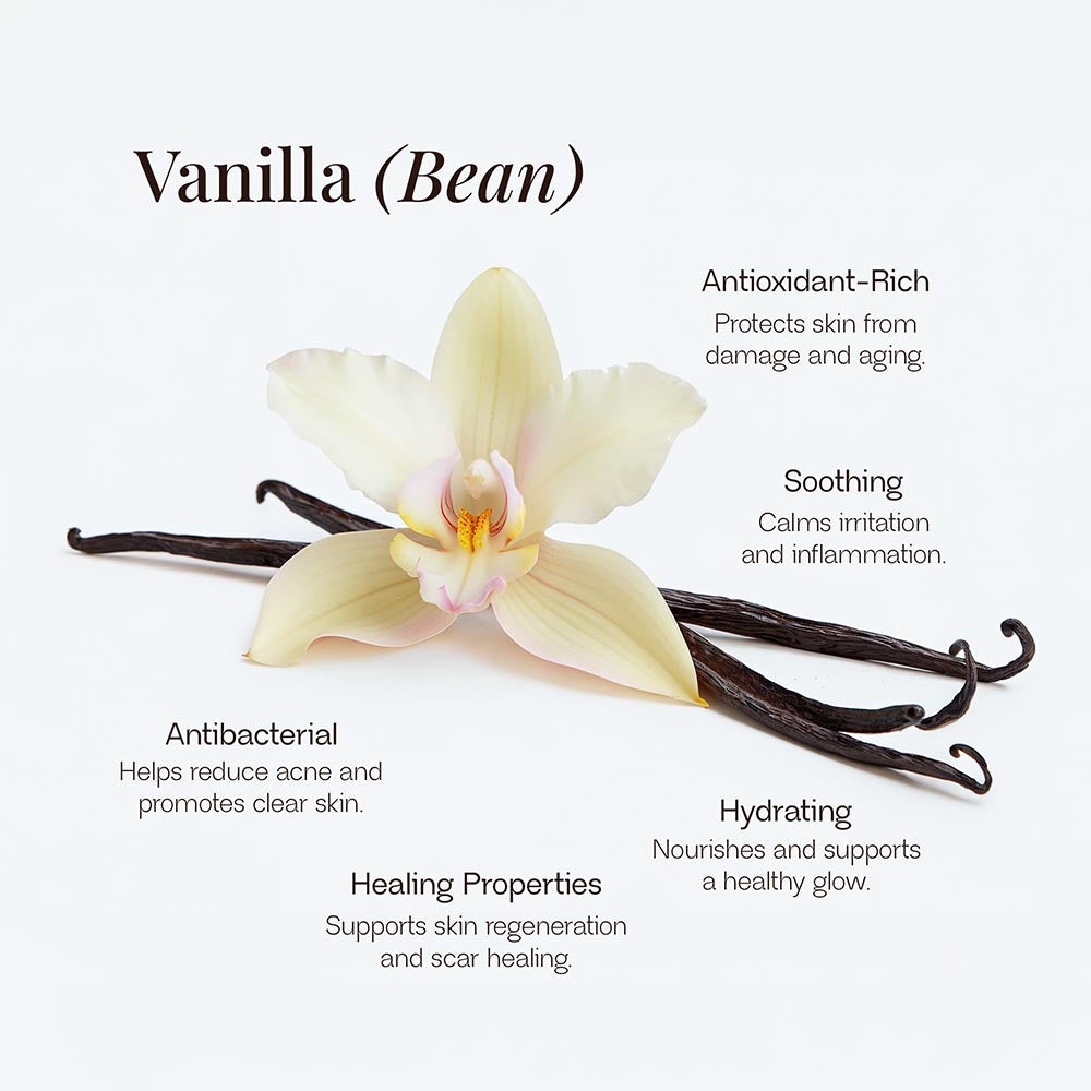 Véla Skin: Whipped Grass-Fed Tallow Balm with Vanilla Bean